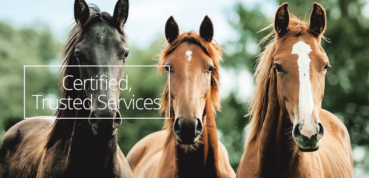 Mendocino Equine & Livestock